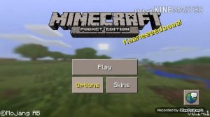 How to hide name tag on minecraft pe 0.14.1