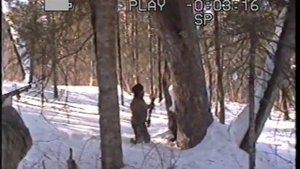 Охота на гималайского медведя