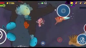 Fish Royale 2024 .  гомпи