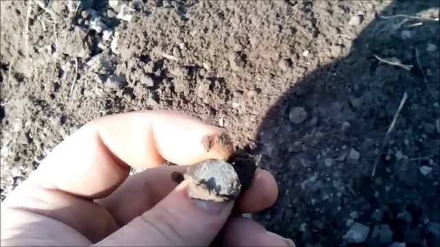 коп май 2015 смотреть онлайн