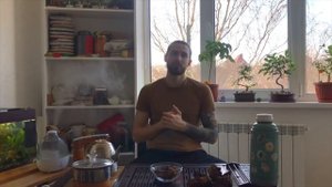 ? Чага | Как заваривать? | Березовый гриб