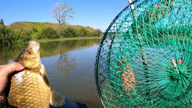 Огромные РЫБИНЫ пришли за ПОПЛАВКОМ ! Удочка в дугу !! смотреть онлайн