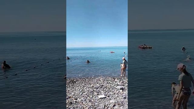 Чёрное море. Чистое. Лазаревка