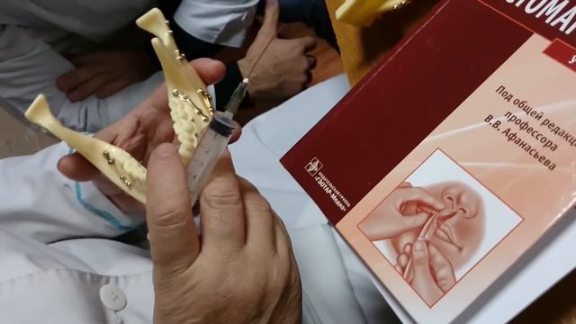 Анестезия нижней челюсти смотреть онлайн