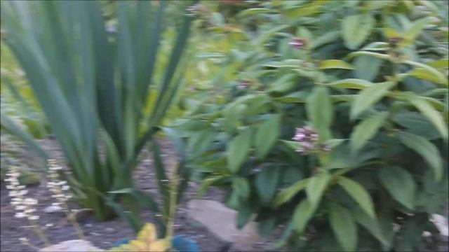 Летний душ своими руками//Наталья Харитонова смотреть онлайн