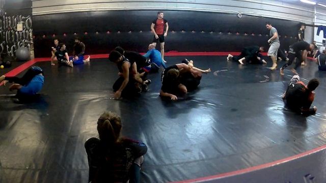 Open mat 02.12.23 Волк (3)