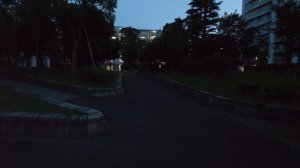 4K・ Вечерняя прогулка по городу Кото, Токио