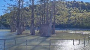 Кипарисовое озеро//Анапа//