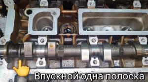 Как определить впускной и выпускной распредвал Ford Focus