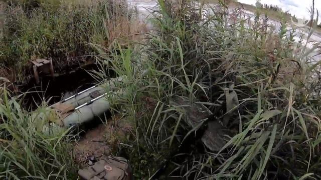 Утка прячется в крепи | Торфяники после открытия | Август 2019 смотреть онлайн