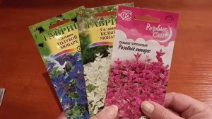 Цветы для букетов .