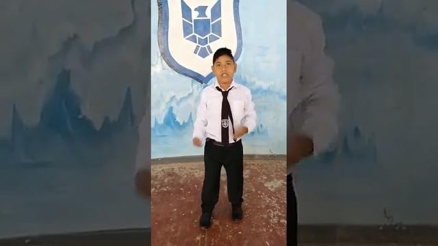 4to C de Primaria-Unidad Educativa Franz Tamayo смотреть онлайн