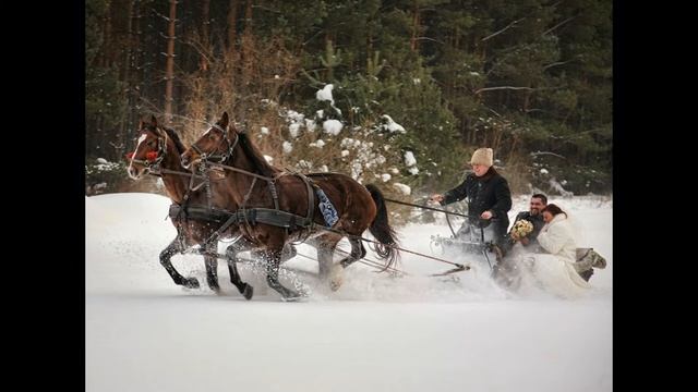 Геннадий Заволокин  Зимняя ночь