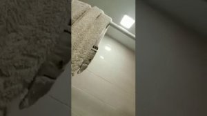 1 комнатная квартира из гаража своими руками за 2 лета