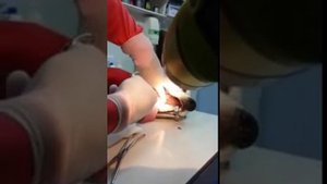 кость застряла в горле собаки