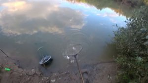 Оставил ЗАКИДУШКИ с живцом НА НОЧЬ и УДИВИЛСЯ ОТ РЕЗУЛЬТАТА! Рыбалка с ночевкой 2022! Ловля судака