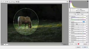 Adobe Camera Raw as a filter   Adobe Photoshop CC tutorials