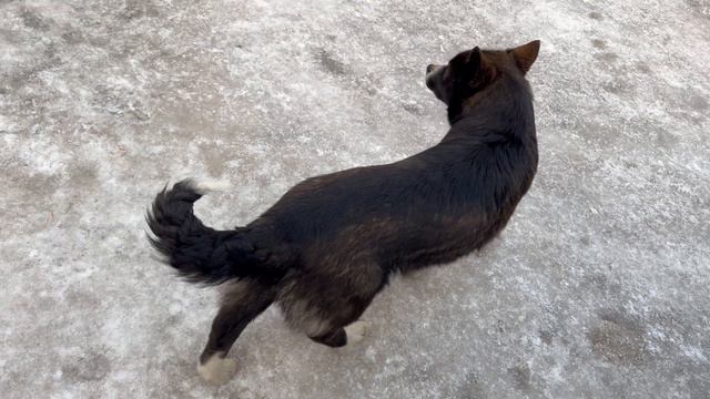 22-03-2024 смотреть онлайн