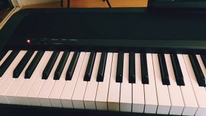 Roland FP 10 vs Korg B1