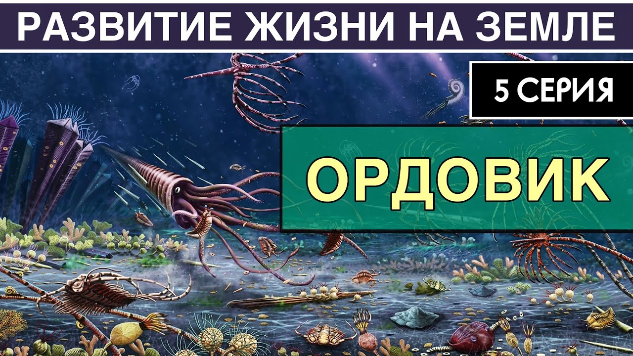 ОРДОВИКСКИЙ ПЕРИОД. Развитие жизни на Земле. 5 серия | Великая Радиация и Великое Вымирание