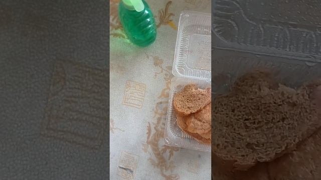 выращиваю плесень?. день 1./как вырастить плесень.