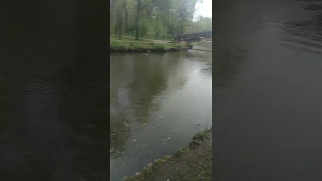 река Яуза смотреть онлайн