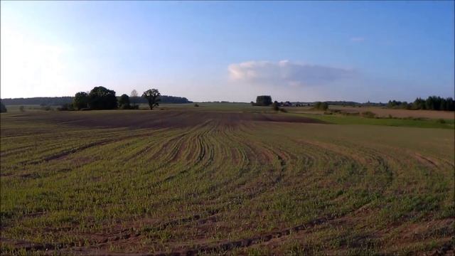 Посадка 1га картофеля польской сажалкой/ от А до Я смотреть онлайн