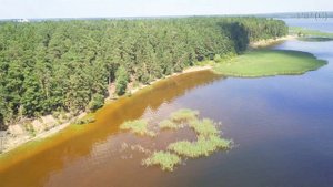 Городомля 08 2018