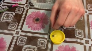 Зимняя насадка на ЛЕЩА, ПЛОТВУ, ГУСТЕРУ, КАРАСЯ, ГОЛАВЛЯ Наживка для мирной рыбы в домашних условия