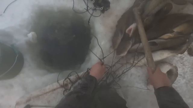 И снова мы на Енисее. Проверяем перемет в -40? смотреть онлайн