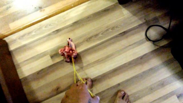 Ваша собака боится пылесоса,избавляемся за 2 минуты! смотреть онлайн