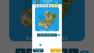 101 Картинка: Фото Викторина - РАСТЕНИЯ все ответы