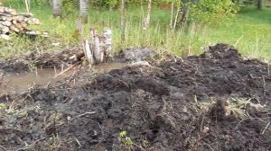 Строим дом. Часть один. Расчистка участка под застройку.