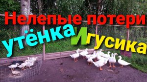 СПЛОШНАЯ МИСТИКА