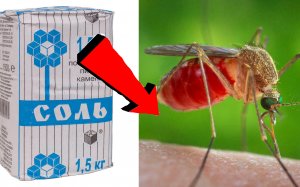 Как избавиться от комаров За 5 секунд!.