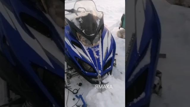 Снегоходы 2023-24 смотреть онлайн