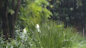 Успокаивающая музыка для нервов ? лечебная музыка для сердца и сосудов, релакс, музыка для души