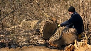 HUSQVARNA 390XP chainsaw review - my experiences with the legend