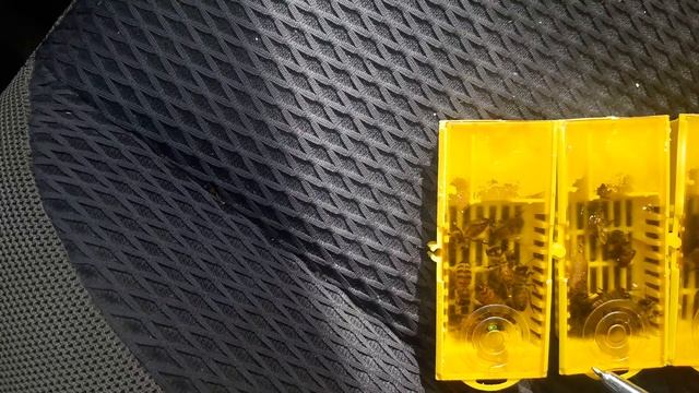 КАК ГРАМОТНО ПОЛУЧАТЬ МАТОК НА ПОЧТЕ. смотреть онлайн