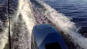 tarpon 9.9 (15) казанка