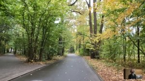 Медбрат устроил доярку из деревни техничкой к богачу хирургу… А едва сирота нашла тайник в доме шеф