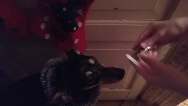 УКРАШАЕМ ДОМ К НОВОМУ ГОДУ! Санта принёс ПОДАРКИ??? смотреть онлайн