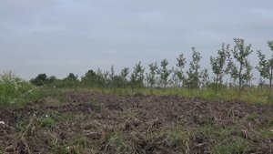 Кто помогает начинающим фермерам