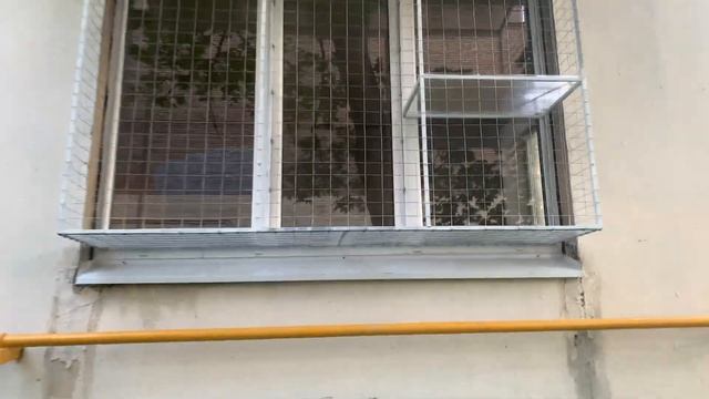 Обзор кошачьего балкончика смотреть онлайн