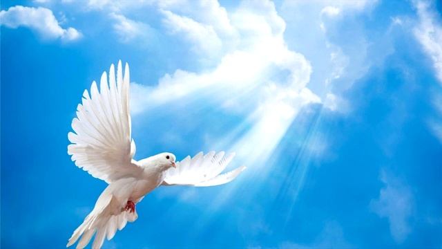 Вникай в Слово Божие. Пророчество Бiла Терн. Украина 03.03.2022г. смотреть онлайн