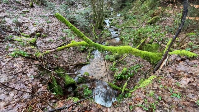 Relaxing Beautiful Waterfall and Rain 30 min! Водопад 30 минут! Отдых, медитация, очищающий звук смотреть онлайн