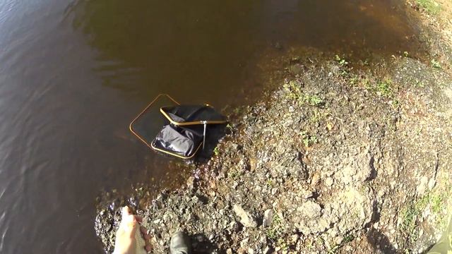 шёл За Карасём, а поймал крупную Плотву/ Рыбалка на реке/ ловлю на Поплавок. смотреть онлайн