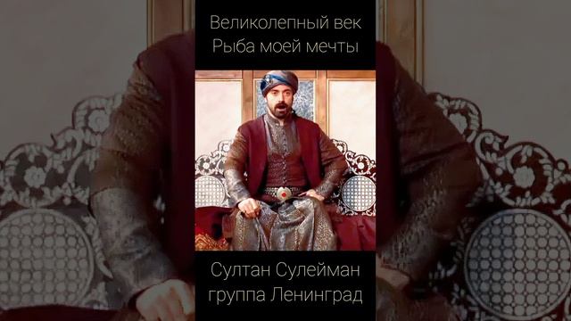 Рабы моей мечты - Султан Сулейман - Великолепный век / группа Ленинград