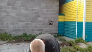 Зея зея город зея