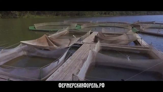Форелевая ферма